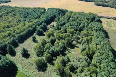 17278 Laube Road, Davis, IL 61019 - Photo 92