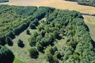 17278 Laube Rd, Davis, IL 61019 - Photo 92