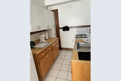 5480 S Cornell Avenue #TBD, Chicago, IL 60615 - Photo 10