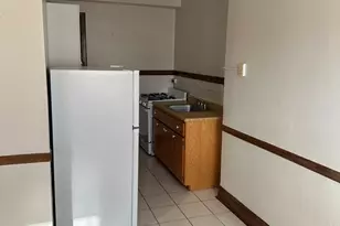 5480 S Cornell Ave, Chicago, IL 60615 - Photo 10