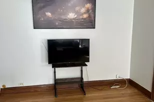 5480 S Cornell Ave, Chicago, IL 60615 - Photo 8