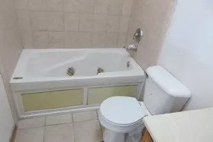 11761 S Vincennes Ave, Chicago, IL 60643 - Photo 16