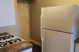 1117 E 82nd Pl, Chicago, IL 60619 - Photo 6