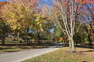 34 Logan Loop, Highland Park, IL 60035 - Photo 56