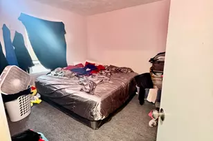 11345 S Ada St, Chicago, IL 60643 - Photo 12