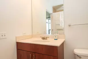 1255 S State St, Chicago, IL 60605 - Photo 20