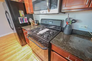 1033 W 14th Pl, Chicago, IL 60608 - Photo 18