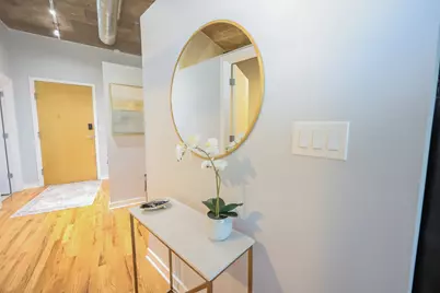 1033 W 14th Place #241, Chicago, IL 60608 - Photo 12