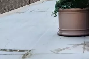 1531 N Sandburg Terrace, Chicago, IL 60610 - Photo 30