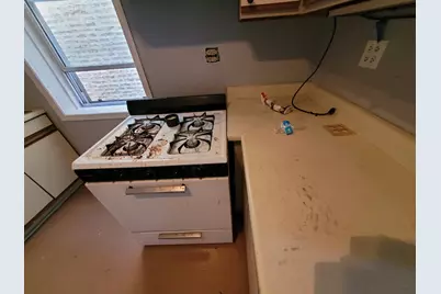 3405 S Union Street, Chicago, IL 60616 - Photo 6