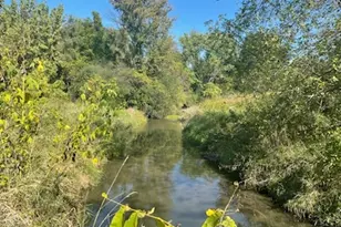 8N465 Shady Ln, Elgin, IL 60124 - Photo 32