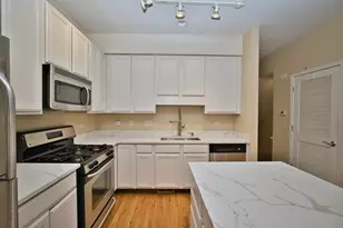 353 E Eastgate Pl, Chicago, IL 60616 - Photo 18