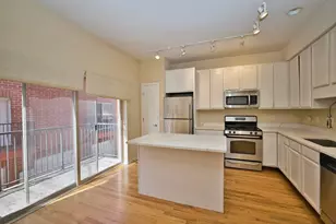 353 E Eastgate Pl, Chicago, IL 60616 - Photo 16