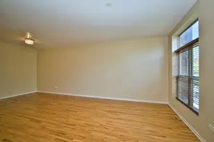 353 E Eastgate Pl, Chicago, IL 60616 - Photo 12