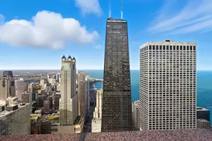 161 E Chicago Ave, Chicago, IL 60611 - Photo 8