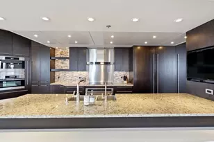 161 E Chicago Ave, Chicago, IL 60611 - Photo 14