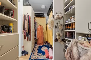 1000 N Lake Shore Plaza, Chicago, IL 60611 - Photo 22