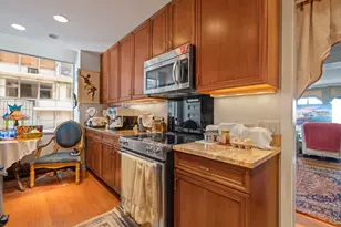 1000 N Lake Shore Plaza, Chicago, IL 60611 - Photo 16