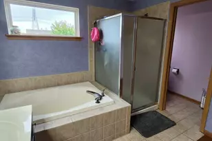 25749 S Yellow Pine Dr, Channahon, IL 60410 - Photo 18