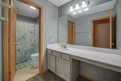 25749 S Yellow Pine Drive, Channahon, IL 60410 - Photo 22
