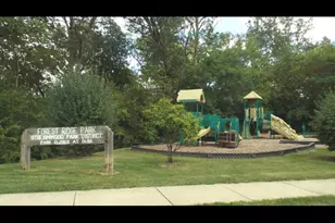 1463 Yellowstone Dr, Streamwood, IL 60107 - Photo 34