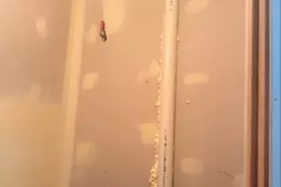 3908 W Ainslie St, Chicago, IL 60625 - Photo 18