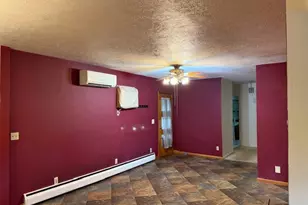 301 S 4th St, Cissna Park, IL 60924 - Photo 2