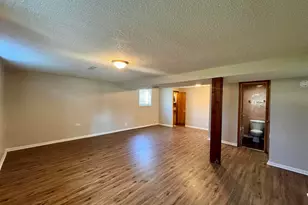 51 N Pine Ln, Glenwood, IL 60425 - Photo 16