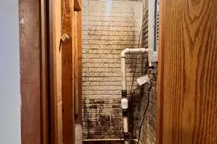 51 N Pine Ln, Glenwood, IL 60425 - Photo 18