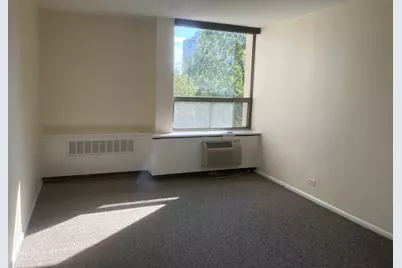 1360 N Sandburg Terrace #401C, Chicago, IL 60610 - Photo 20