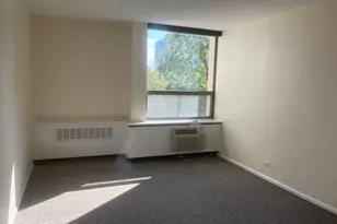 1360 N Sandburg Terrace, Chicago, IL 60610 - Photo 20