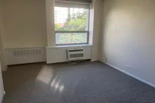 1360 N Sandburg Terrace, Chicago, IL 60610 - Photo 14