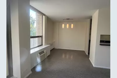 1360 N Sandburg Terrace #401C, Chicago, IL 60610 - Photo 10