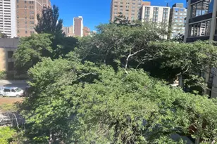 1360 N Sandburg Terrace, Chicago, IL 60610 - Photo 24