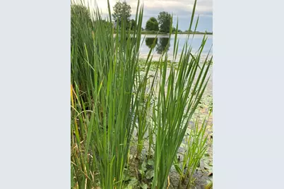 [Address not provided], Grayslake, IL 60030 - Photo 20