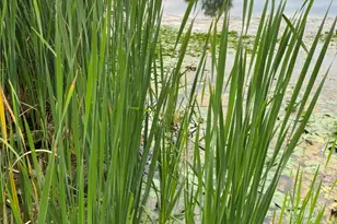 [Address not provided], Grayslake, IL 60030 - Photo 20