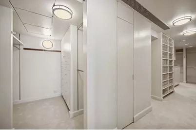 132 E Delaware Place #5201, Chicago, IL 60611 - Photo 28