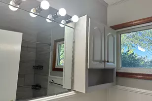 433 Lakewood Blvd, Park Forest, IL 60466 - Photo 34