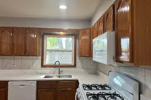 433 Lakewood Blvd, Park Forest, IL 60466 - Photo 44