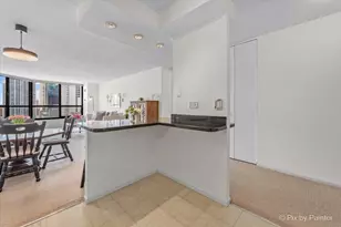 405 N Wabash Ave, Chicago, IL 60611 - Photo 12