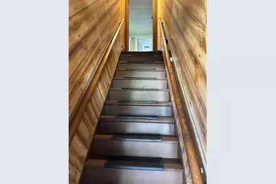 215 E Waupansie Street, Dwight, IL 60420 - Photo 16