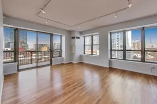 1717 S Prairie Ave, Chicago, IL 60616 - Photo 2