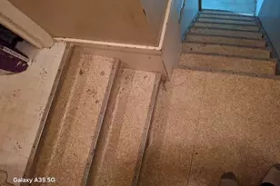 304 Maple Ave, Forreston, IL 61030 - Photo 4