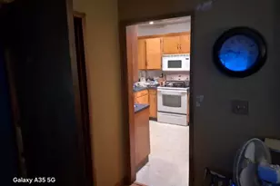 304 Maple Ave, Forreston, IL 61030 - Photo 6