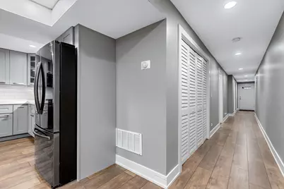 443 E 45th Place #1, Chicago, IL 60653 - Photo 8