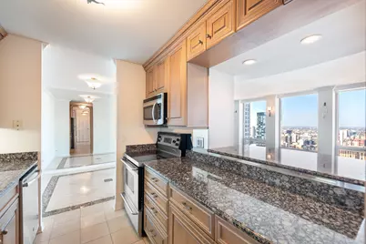 111 E Chestnut Street #55D, Chicago, IL 60611 - Photo 8