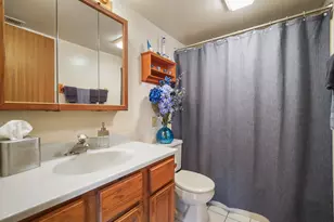 3727 214th Pl, Matteson, IL 60443 - Photo 14