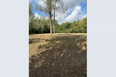 6421 Collier Circle, Long Grove, IL 60047 - Photo 12