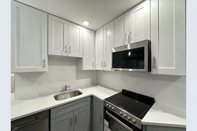 1224 W Rosemont Avenue #GDN, Chicago, IL 60660 - Photo 4