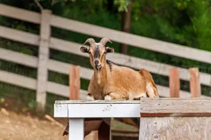 7830 N Pillow Hill Rd, Spring Grove, IL 60081 - Photo 64